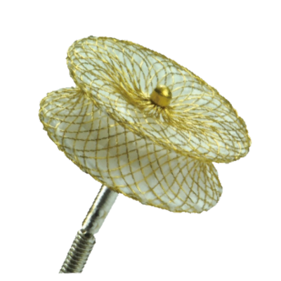 Oclusores Cardíacos e Stents